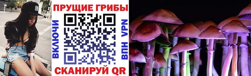 Псилоцибиновые грибы Psilocybine cubensis  Кондопога 